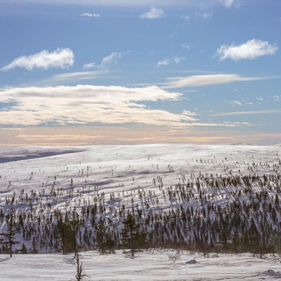 Sielikkö Aurora Log Apartments Saariselkä Exteriör bild