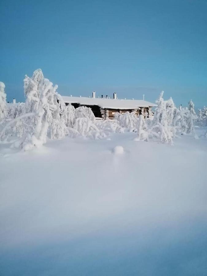 Sielikkö Aurora Log Apartments Saariselkä Exteriör bild