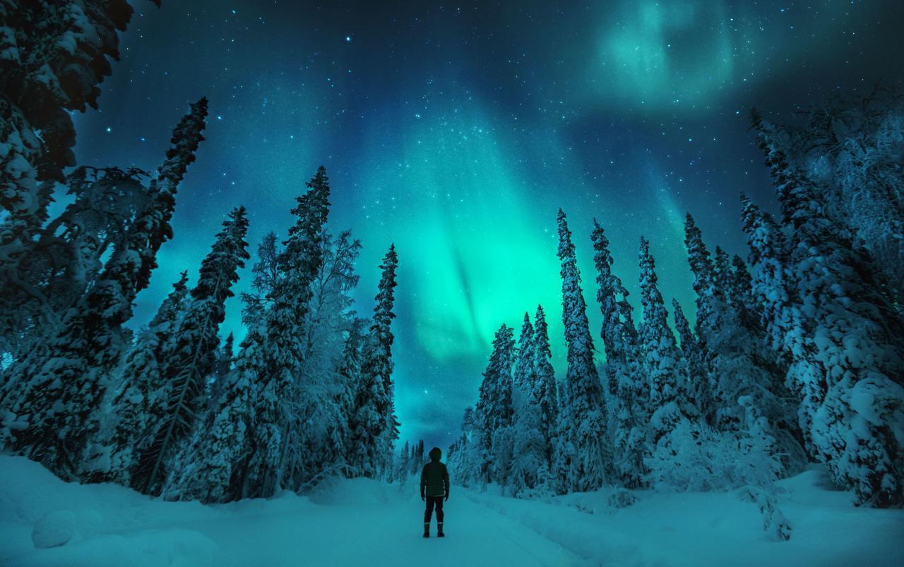 Sielikkö Aurora Log Apartments Saariselkä Exteriör bild