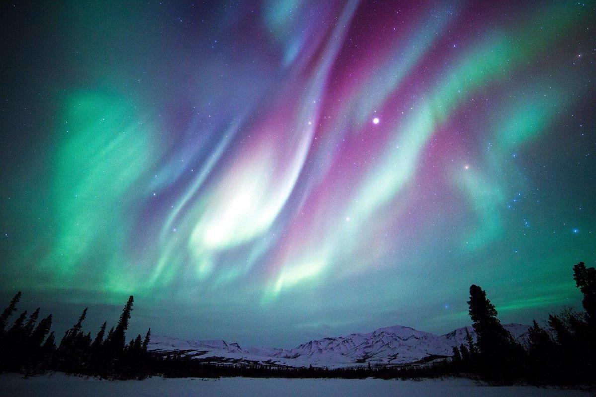 Sielikkö Aurora Log Apartments Saariselkä Exteriör bild